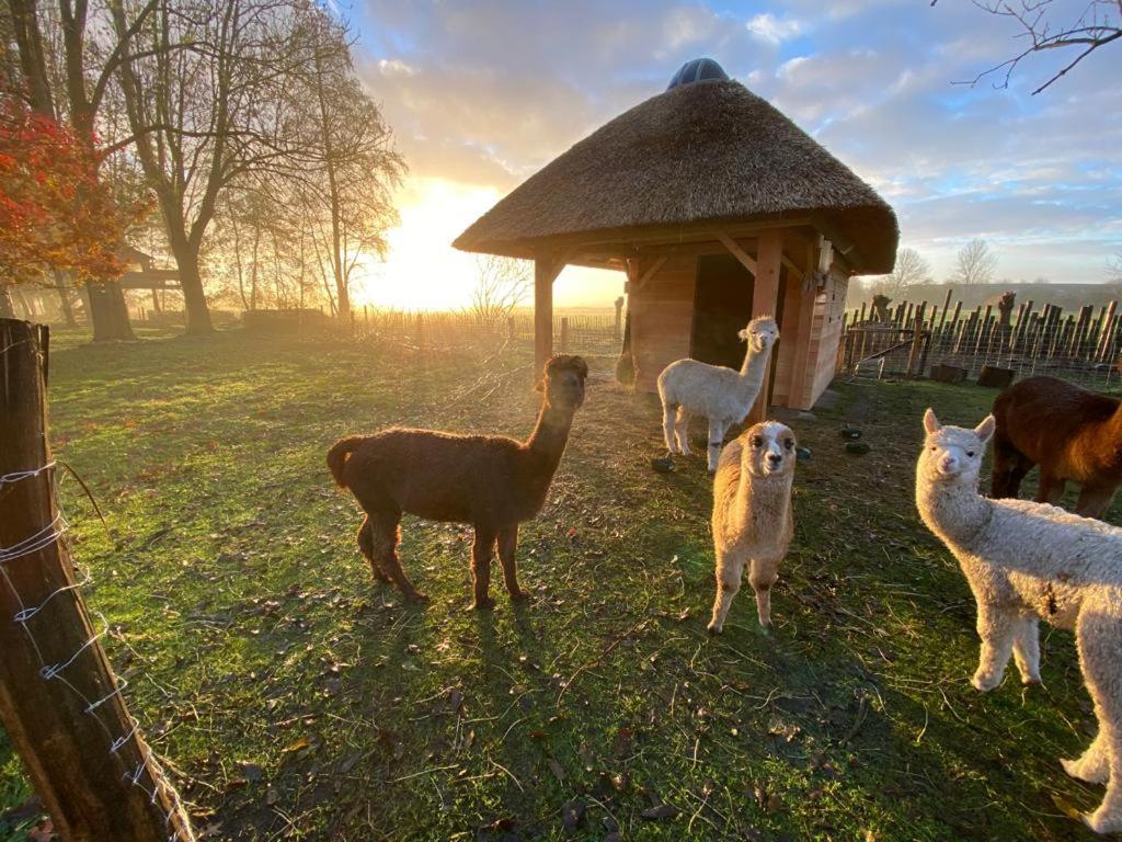 Gieters Grietje Villa Giethoorn Esterno foto